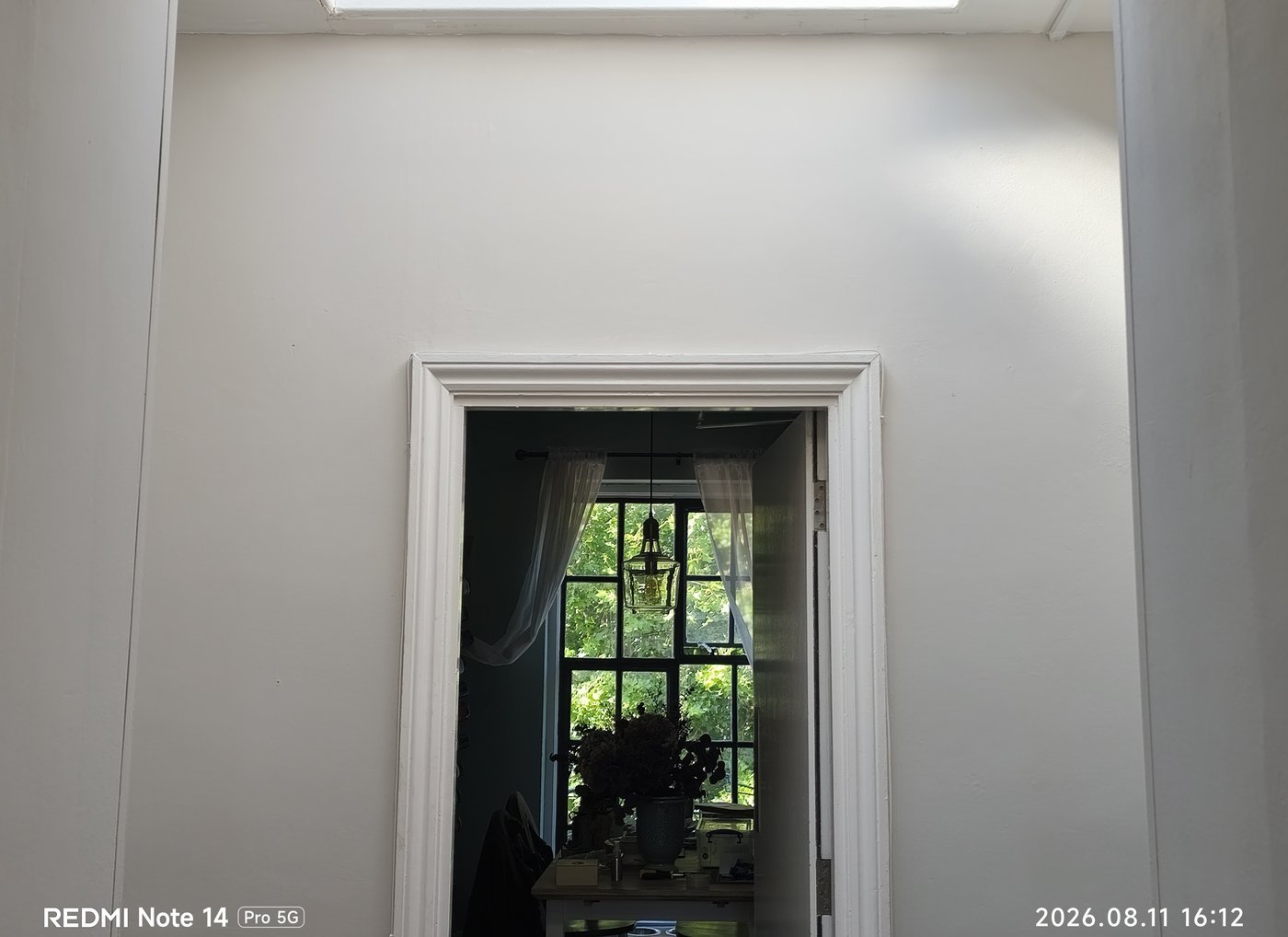 Eco-Friendly Paint: Low-VOC Options for South London Homes